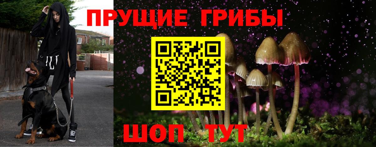 Галлюциногенные грибы мухоморы  Вход с VPN  сколько стоит  Галлюциногенные грибы Psilocybine cubensis  Советский 